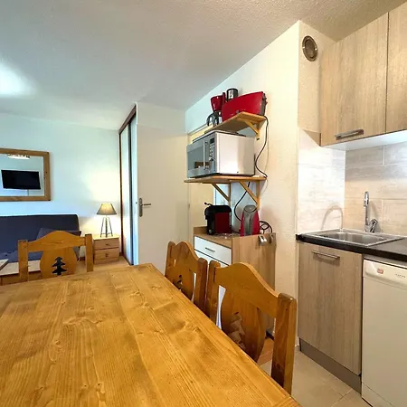 Cosy Avec Accès Aux Pistes, Animaux Admis - Fr-1-452-46
